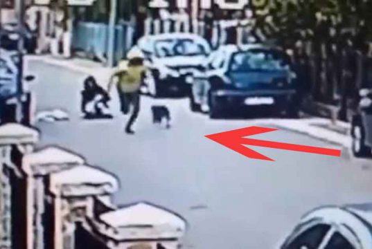 caine fugareste talhar