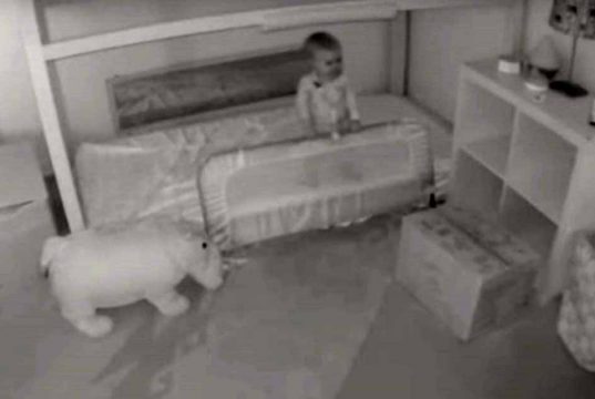 copil si golden retriever