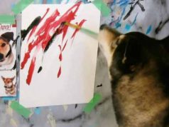 câine care pictează