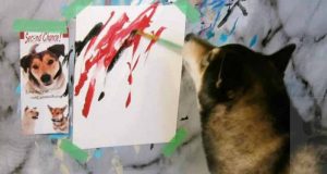 câine care pictează
