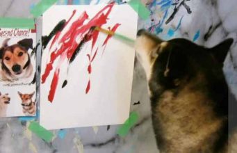 câine care pictează