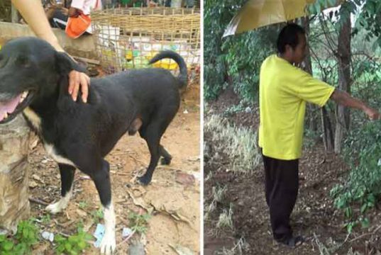 câine a salvat viaţa unui bebeluş
