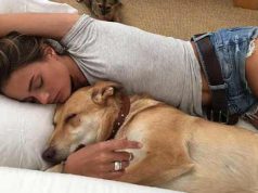doarmă în pat cu un câine