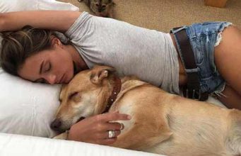doarmă în pat cu un câine