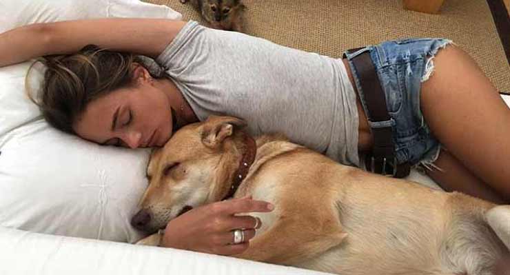 doarmă în pat cu un câine