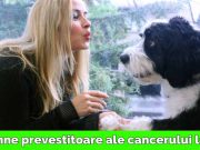 cancer la câini