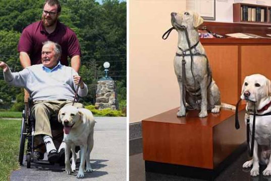 câinele lui George Bush